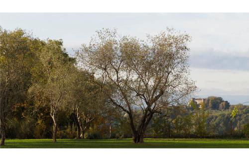 Casa in Lunigiana - Bianca - Foto 29