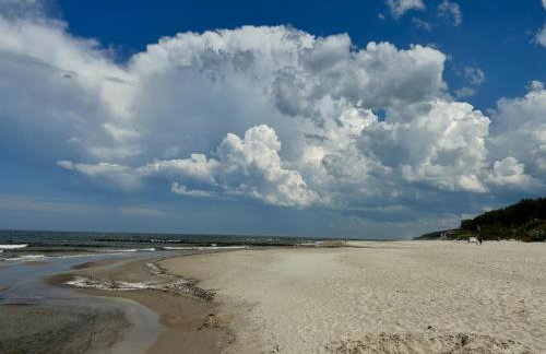 DOMKI BURSZTYN - Foto 60