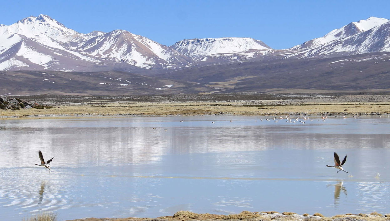 Aymara Region 6-day Tour - Foto 1
