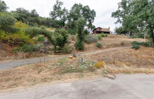 The Badger House - Foto 25