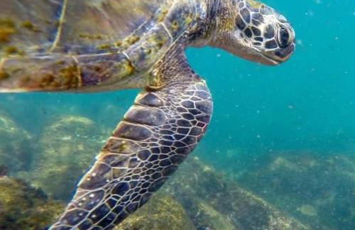 Edificio caminho do sol - Foto 4