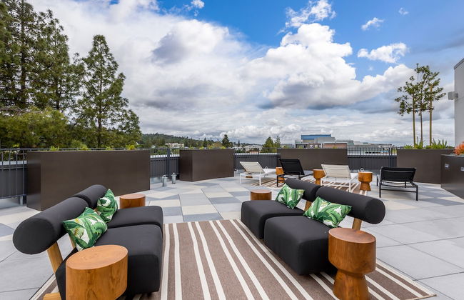 The Rise Walnut Creek, a Sentral community - Foto 16