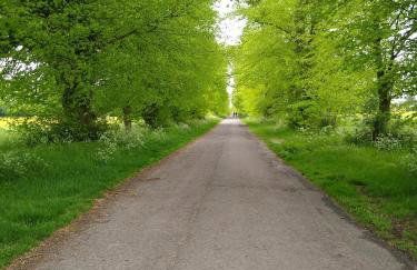 The Walled Garden - Foto 35