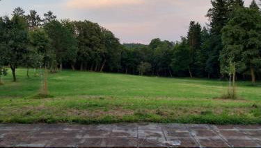 Gästehaus Cube am Forsthaus - Foto 3