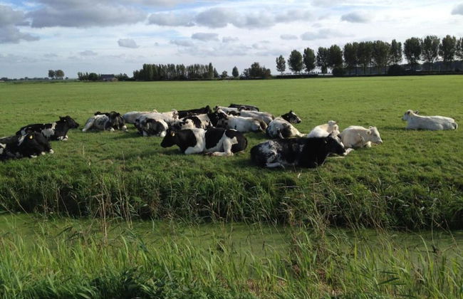 Bungalow in Zuytland Buiten by the Water - Foto 17