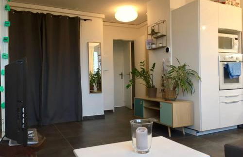 Charmant appartement quartier école d’agronomie - Photo 20