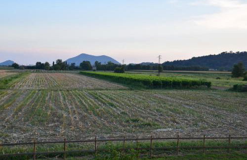 GINEVRA'S COUNTRY HOME - Foto 27