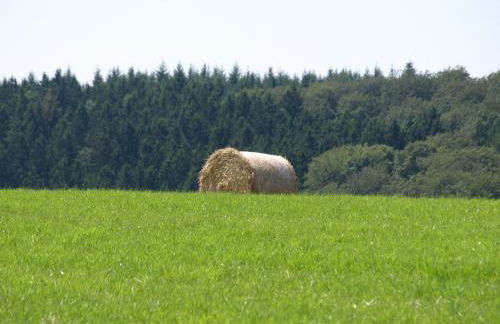 Das Alte Forsthaus - Foto 22