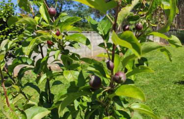 Casa rural A Santiaga en Costa da Morte - Foto 23