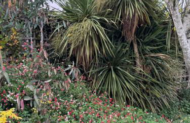 Poets View - Studio in Honington, Suffolk - Foto 24