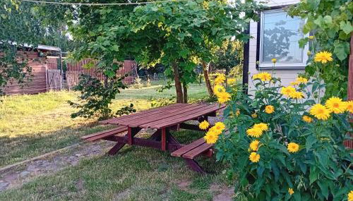 Chatka Święty Spokój - Foto 5, Garden, Garden view