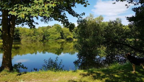 Chalet "Waldhauszeit" am See - Photo 3