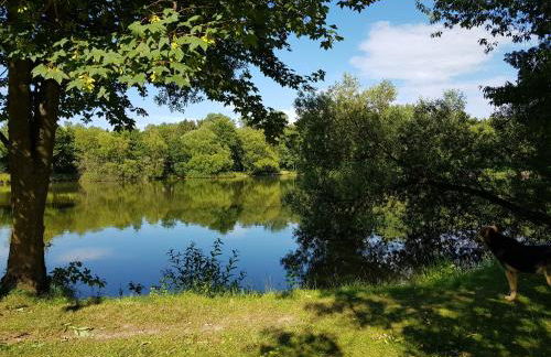 Chalet "Waldhauszeit" am See - Photo 3