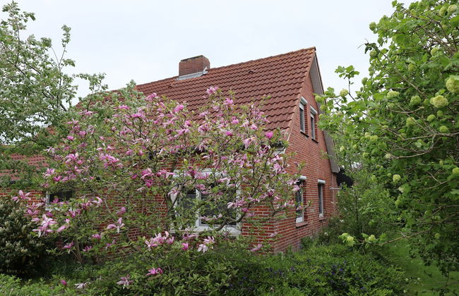 Haus Flieder - Foto 1
