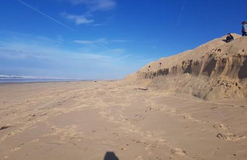 Maison sud des Landes proche Seignosse/ Capbreton / Soustons - Foto 52