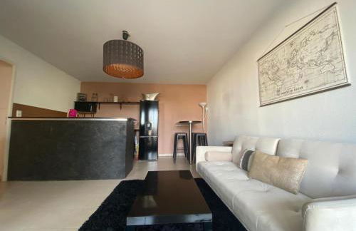 Voyage en Touraine - Foto 15