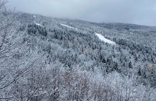 Residenza Riva Wellness Apartment Spa - Foto 75