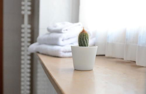 Casa vacanze Dos de Loré - Relax a due passi da Tovel - Foto 11