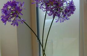 City Studio Kormoran - Photo 18