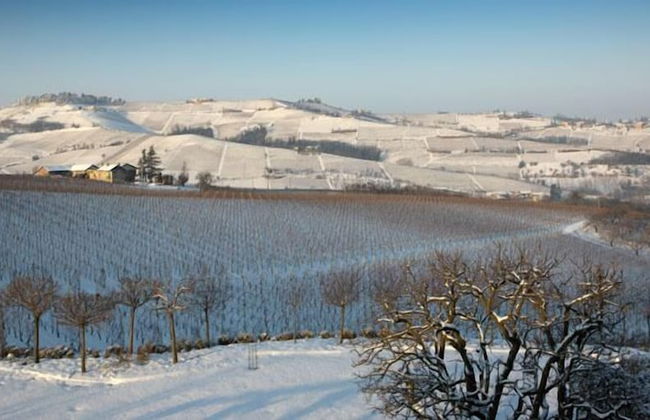 Cascina Baràc - Foto 25