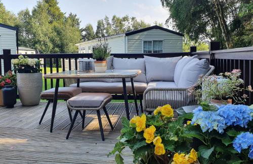 The Treeline - Foto 31