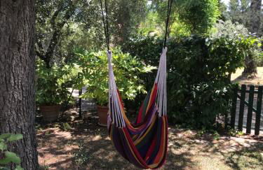 The Colours Of Chianti - Foto 6