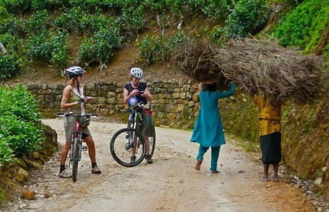 Villa Mount Royal - Photo 30