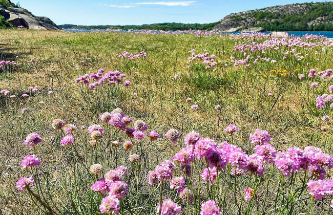 10 Person Holiday Home in Brastad-by Traum - Foto 19