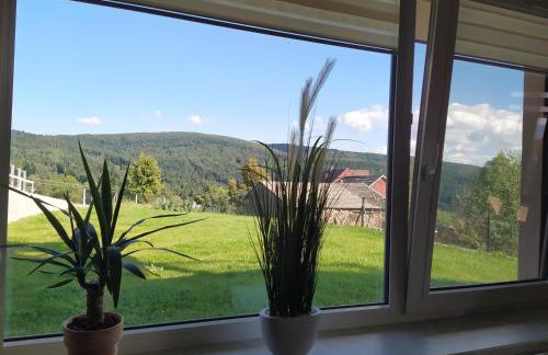 Cicha Chata Kudłacze - Foto 27