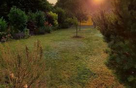 Haus am Schaalsee - Foto 44