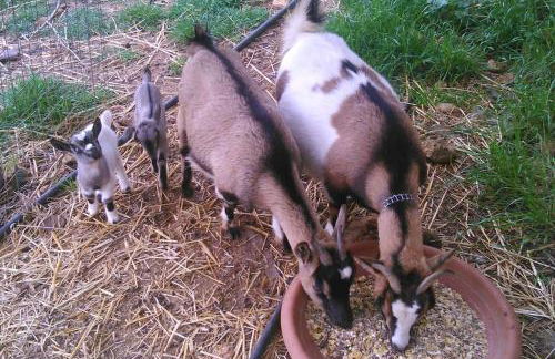 Raffinatissimo Casale in villa storica salentina - Foto 24