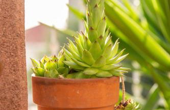 Apartment One - Foto 50