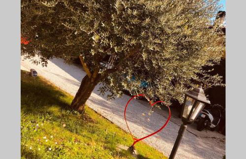 La Dolce Vita. Alloggio nel verde cuore del Friuli Venezia Giulia - Foto 24