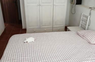 Apartamento Maria - Foto 25