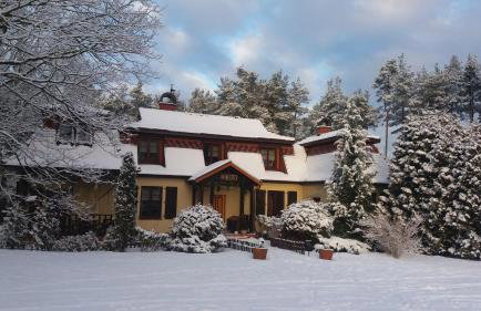 Lisi Dwór - Foto 29