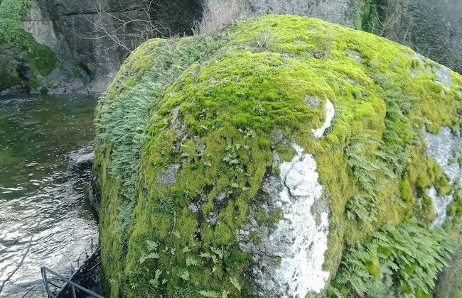 Cottage Aldeia Da Serra - Historic Areas of Portugal - Foto 13