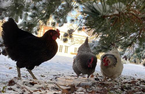 Maison Félice - Foto 18