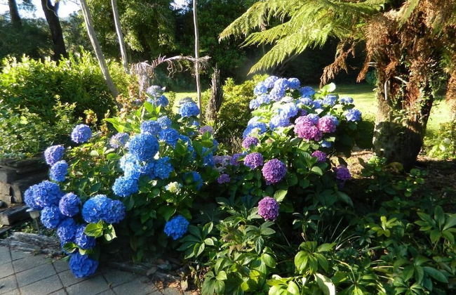 Antares Homestay - Foto 27