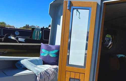 Dragonfly at Aston Marina - Photo 15