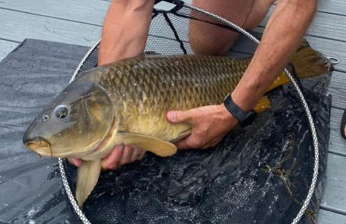 Chichester Lakeside Holiday Park Lakefront Lodge - Foto 64