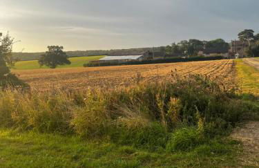 Lavender Cottage - Foto 33