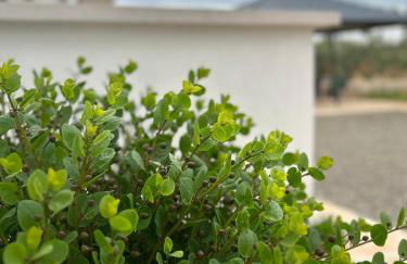 Trulli Enjoy - Foto 56