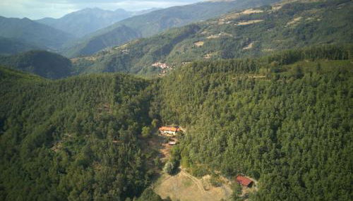 Agriturismo Il Gufo - Foto 4