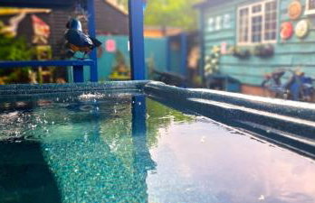 Lakeland Lodge with private Hot Tub and fishing - Foto 25