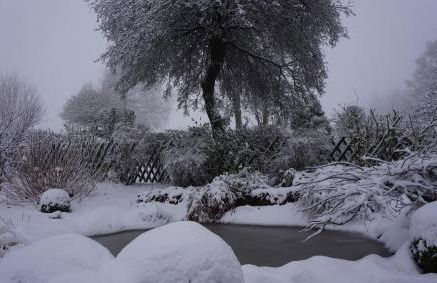 Ferienwohnung Ott - Foto 26