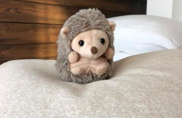 Félix Le Renfrogné Aubagne-Cassis-Aix en Provence - Foto 29