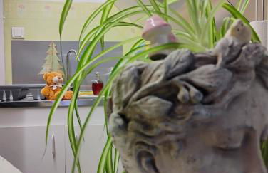 Gîte Le Marronnier, parking et terrasse au calme, entre Colmar-Riquewihr et Obernai, vue sur espaces verts et coteaux d Alsace, route du vin-châteaux - Foto 50