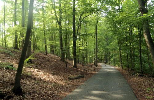 Sidowseetraum - Foto 34