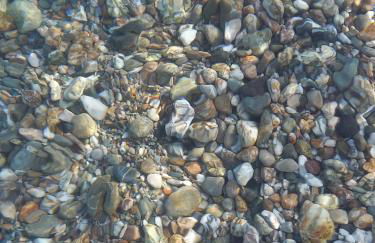 Blu Corallo - Foto 34