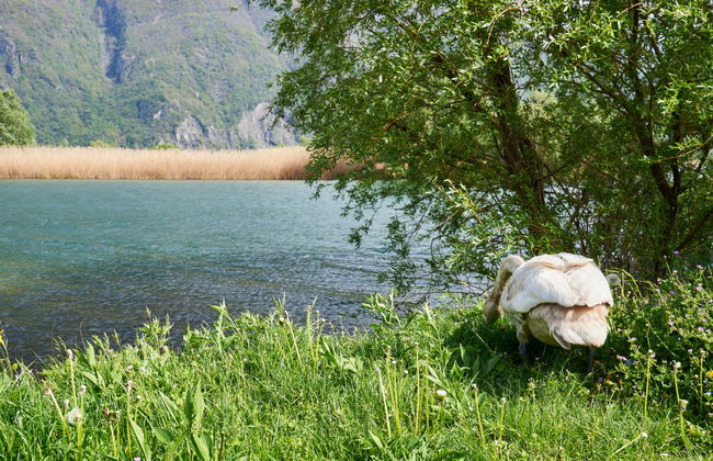 Casa Dascio - Photo 18